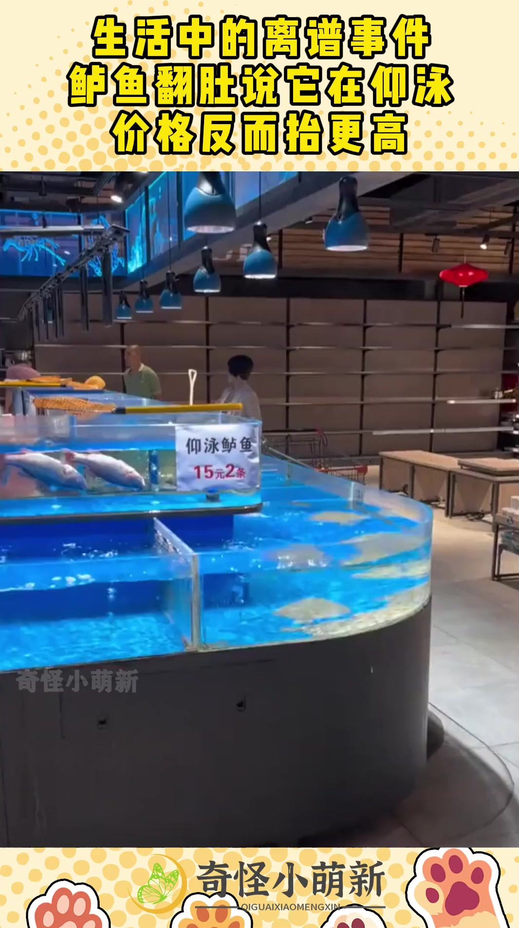生活中的离谱事件,鲈鱼翻肚说它在仰泳,价格反而抬更高!