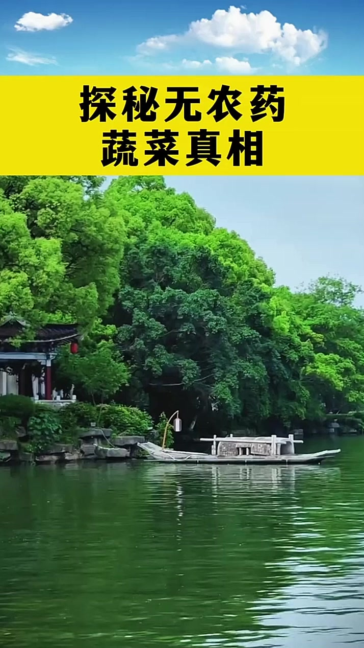 揭秘无农药蔬菜的真相