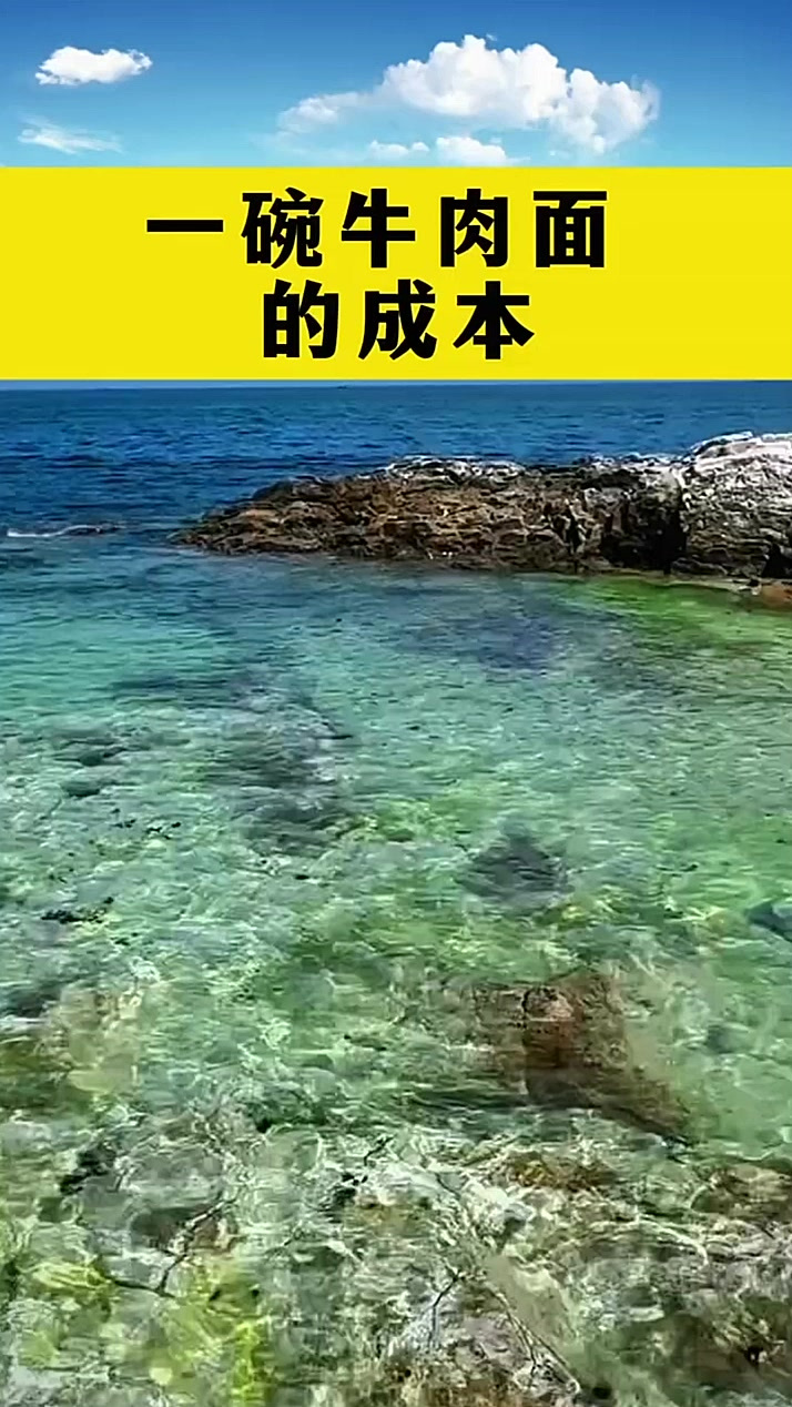 一碗牛肉面的成本