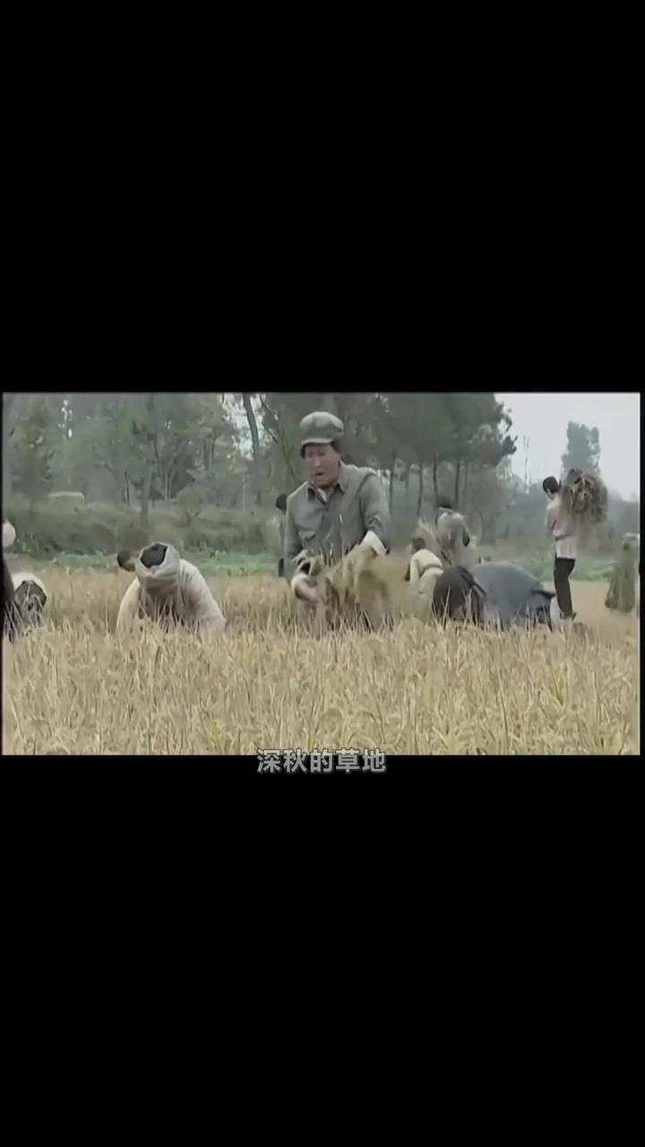 草地篝火旁的理想!炊事班长饿死时怀里还揣着给伤员的野菜汤