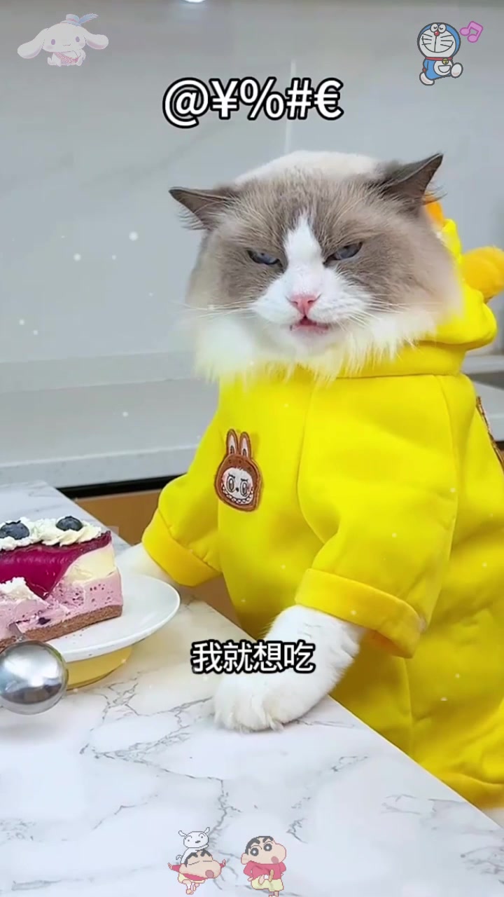  它的这个拉布布蛋糕