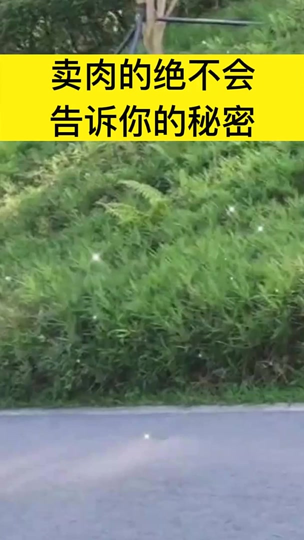 卖肉的绝不会告诉你的秘密,你知道猪肉盖的章是什么意思吗?