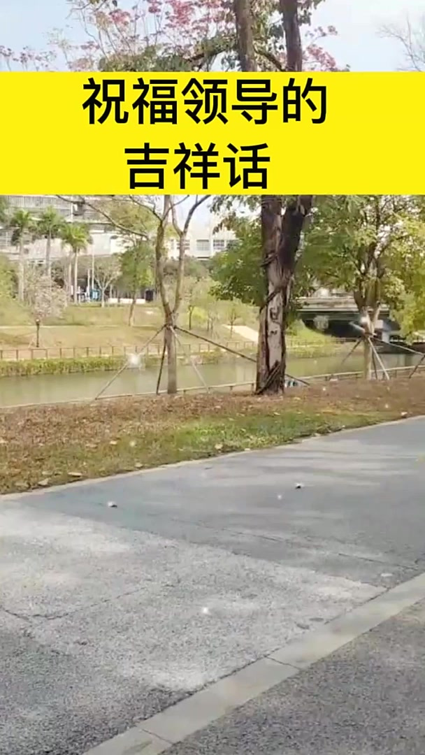 祝福领导的吉祥话