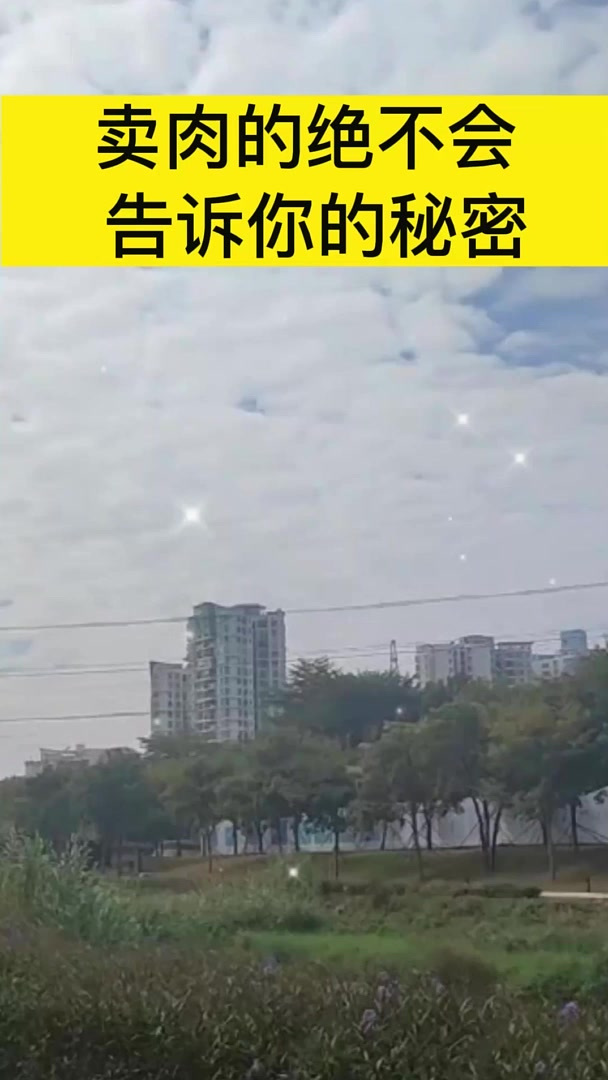 卖肉的绝不会告诉你的秘密:盖(蓝章)是母猪肉,盖圆章是放心