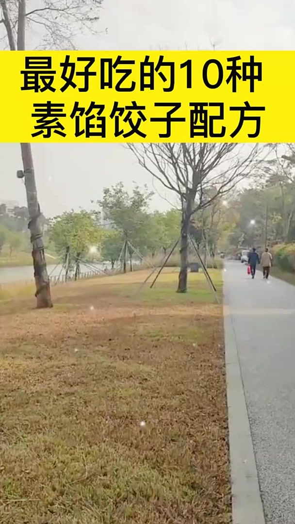 素馅饺子秘密配方:白菜+豆腐+粉条馅,超好吃
