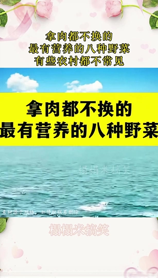 拿肉都不换的,最有营养的八种野菜,有些农村都不常见!