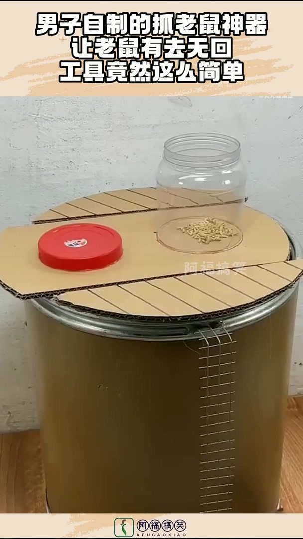男子自制的抓老鼠神器,让老鼠有去无回,工具竟然这么简单!