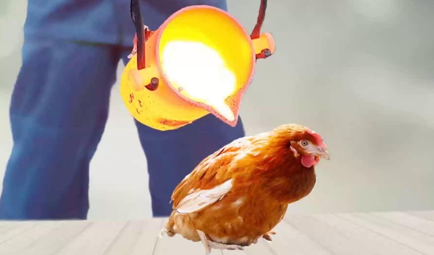 女友要吃烤鸡,男子提来一壶熔浆直接浇上去,女友:分手吧