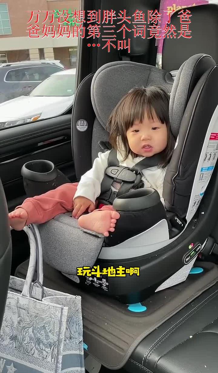 万万没想到胖头鱼除了爸爸妈妈的第三个词竟然是……不叫