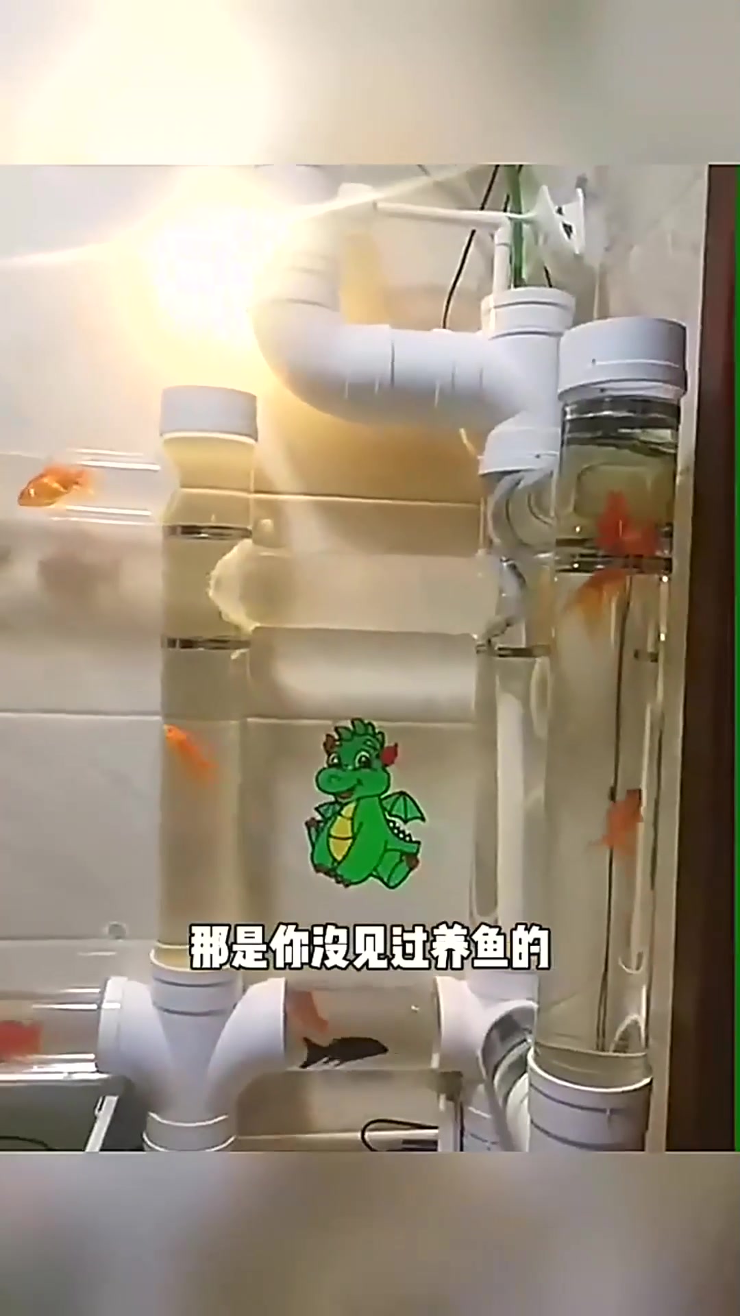  养鱼人的谜之操作,有点大材小用  搞笑视频 搞笑