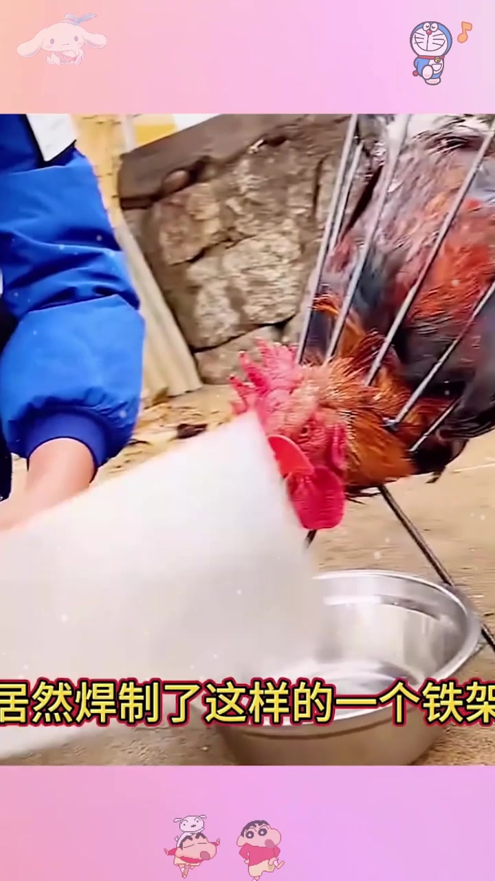  自制的杀鸡小工具