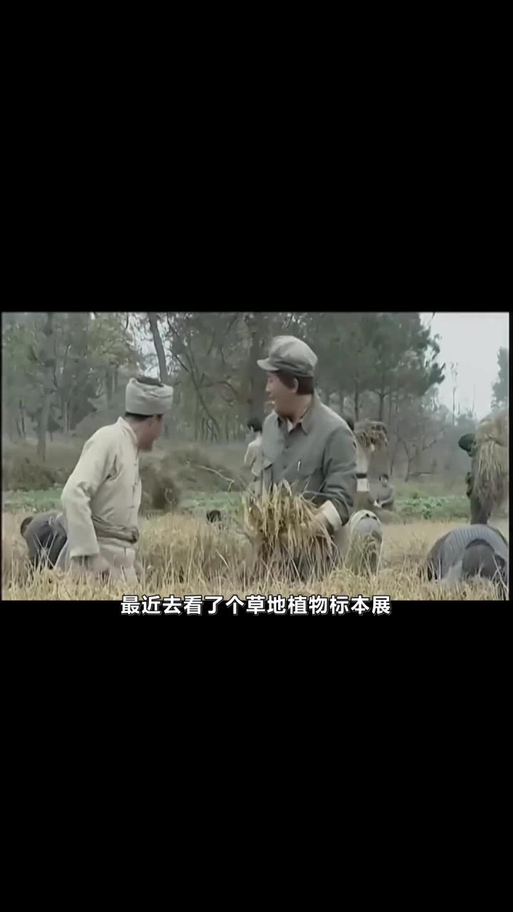 《草地植物标本展!00后跪服红军野菜充饥的生存智慧》