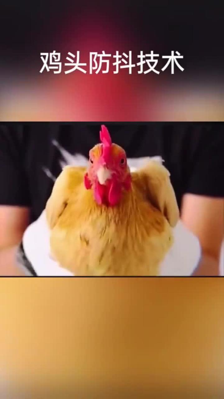 拍摄稳如泰山的防抖技巧,轻松掌握稳定画面