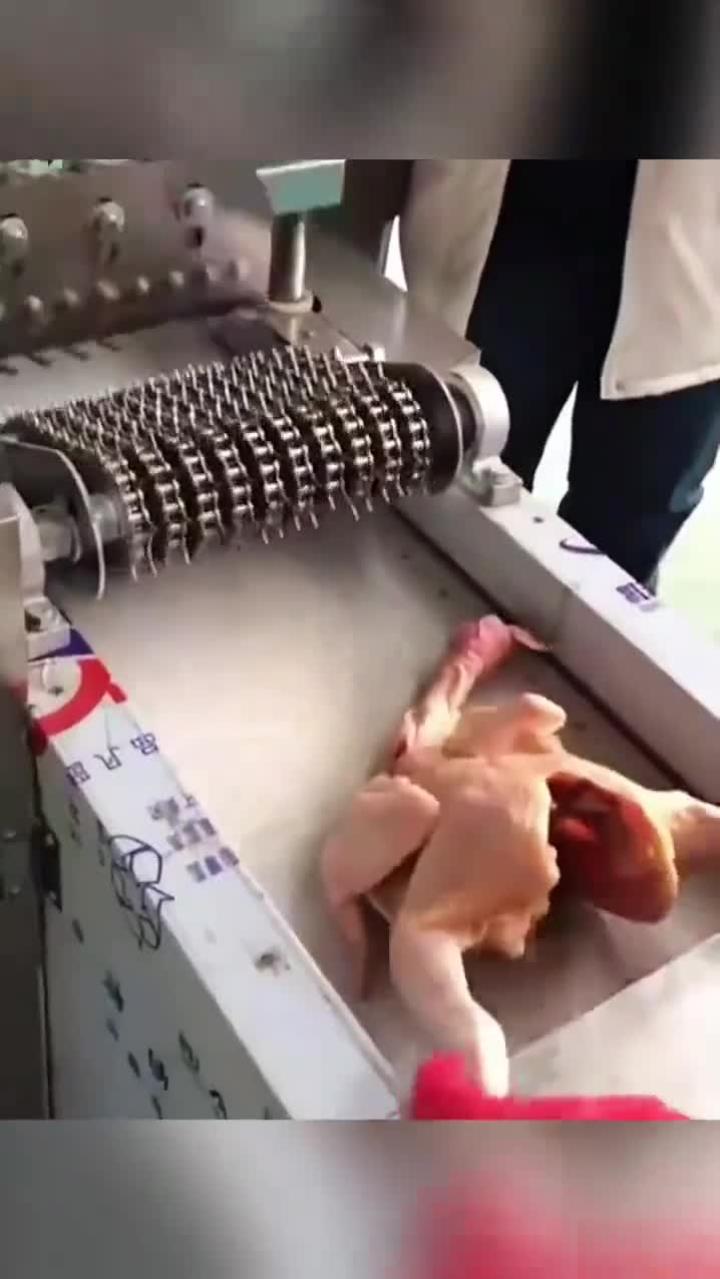 机器分割鸡块,效率惊人!