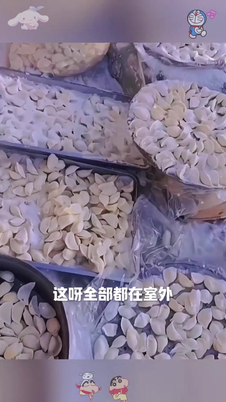  东北这样冻饺子,长见识了