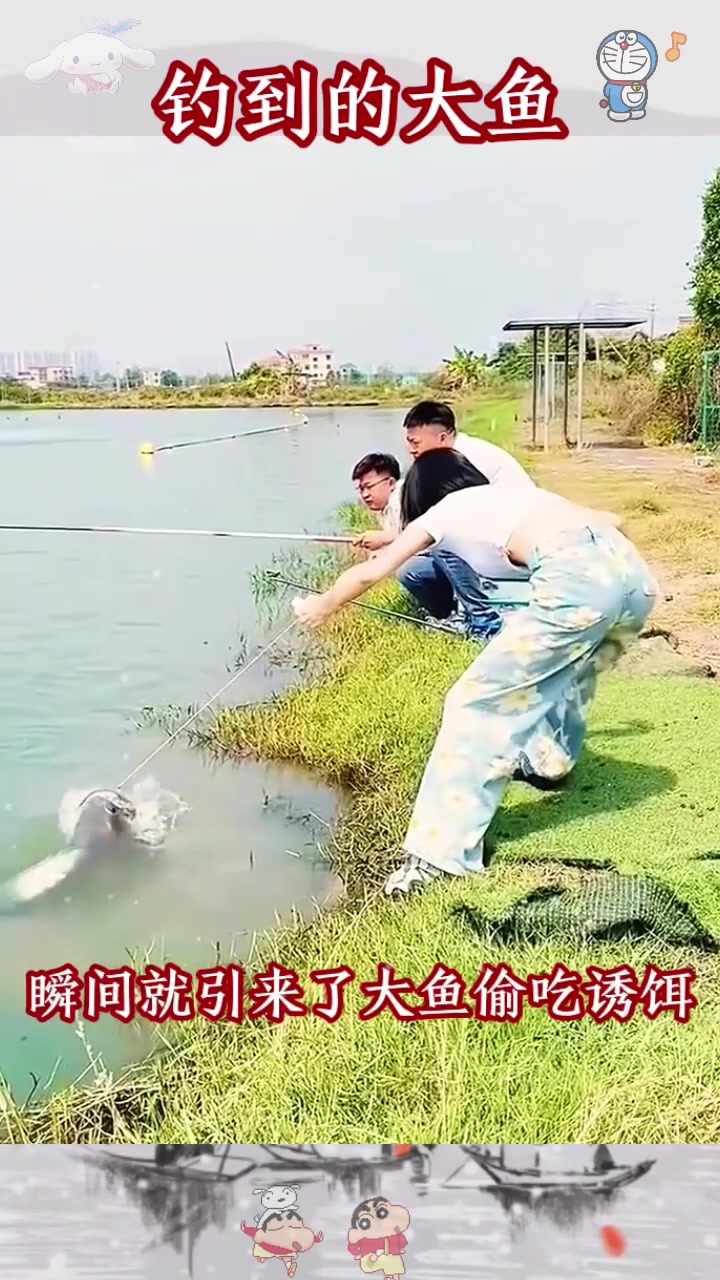  钓到的大鱼，太惹人狠了