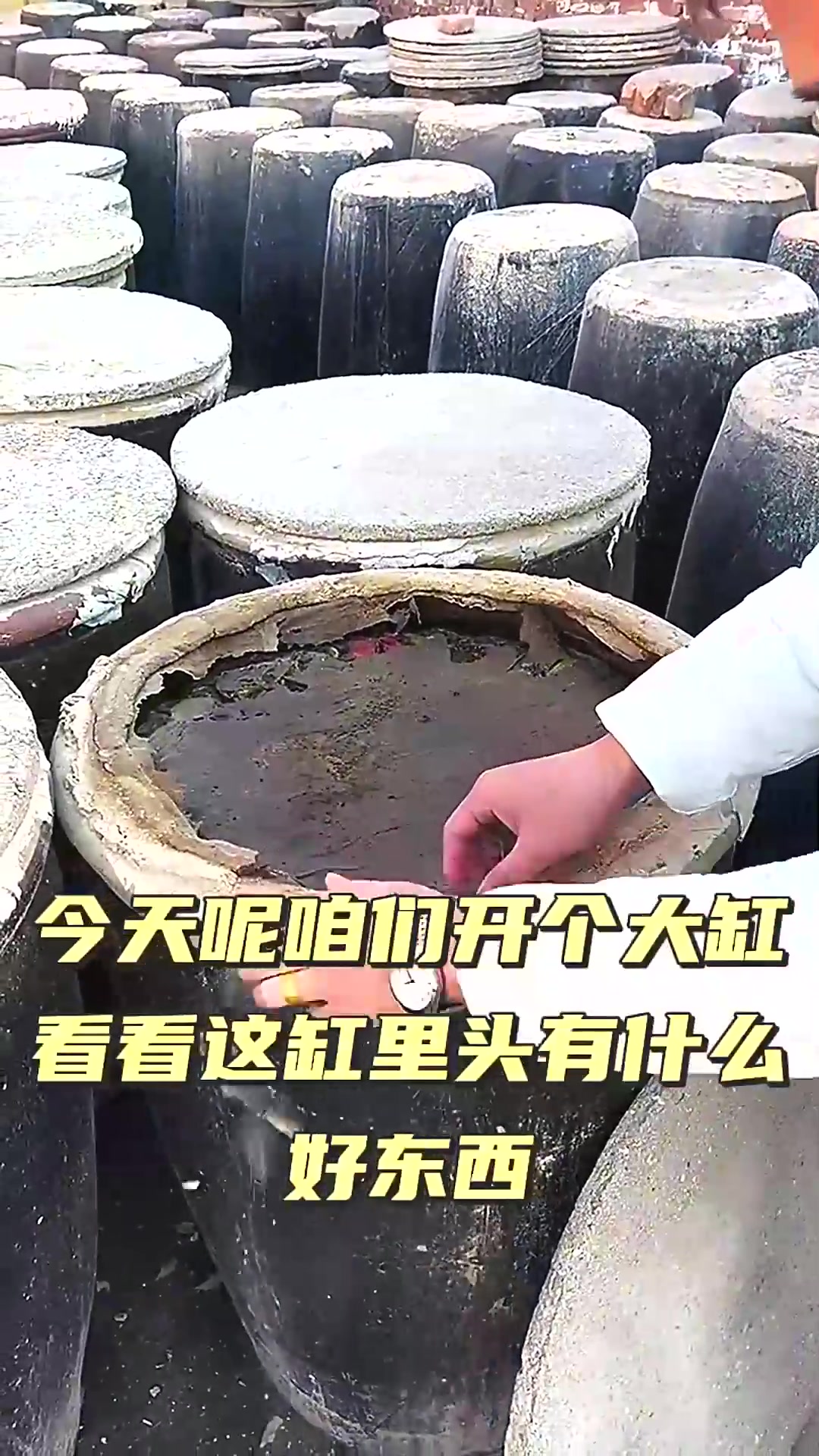 这是大缸腌制老式臭豆腐