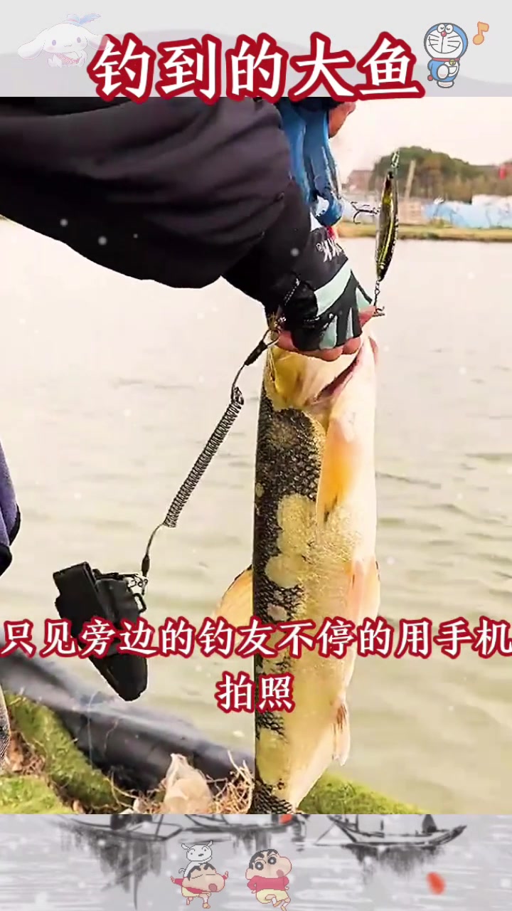  钓到的大鱼,花斑鱼