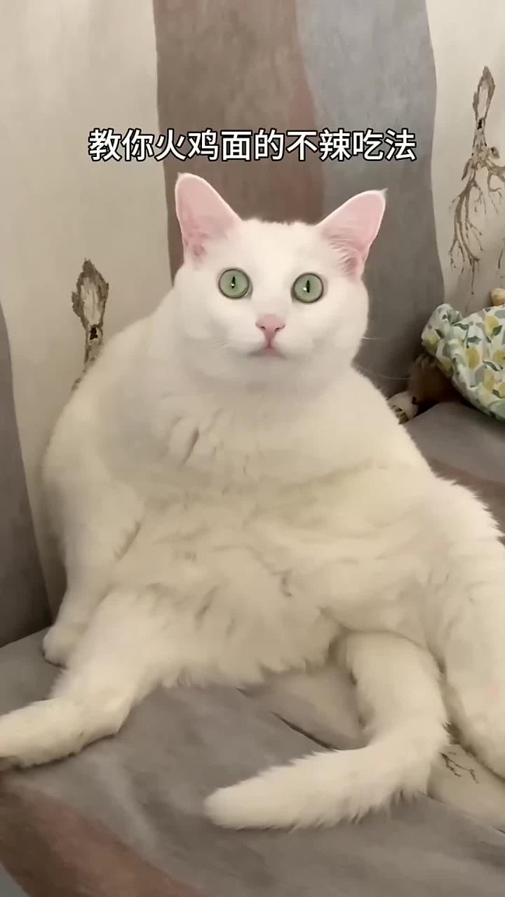 1招解锁火鸡面的不辣吃法,浓郁又好吃!