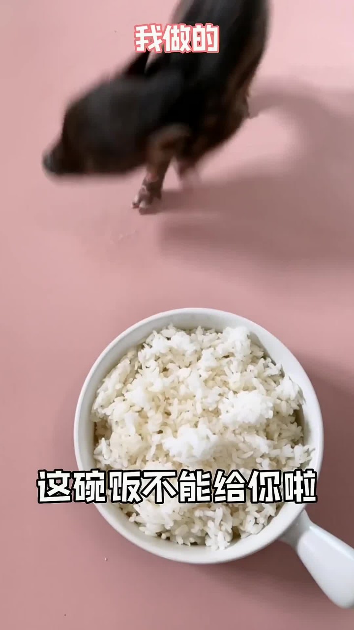 家里只有一碗剩米饭怎么办?做成老干妈炒饭呀,贼香!