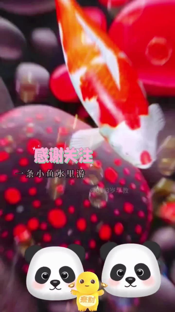 儿歌0-3岁儿歌大全《三条小鱼》儿歌视频
