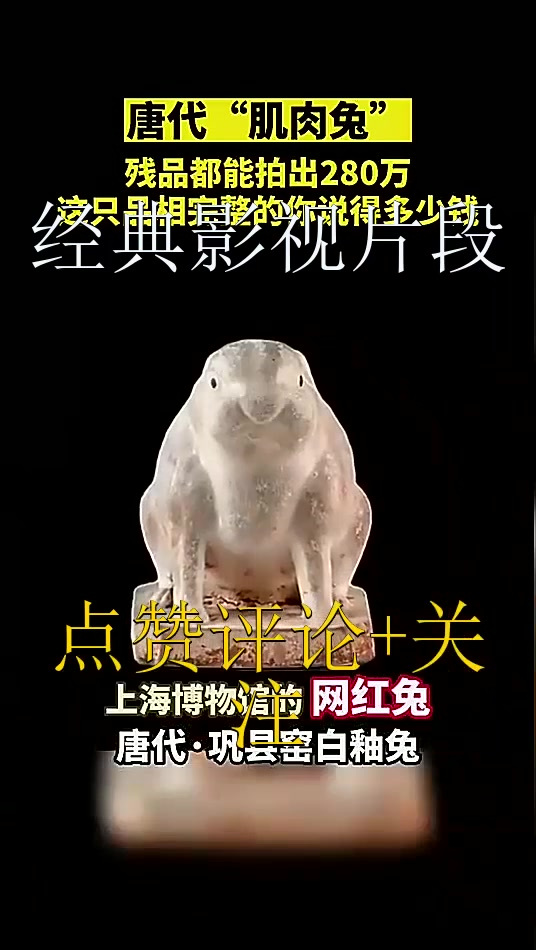 唐代“肌肉兔”,上海博物馆的网红兔!