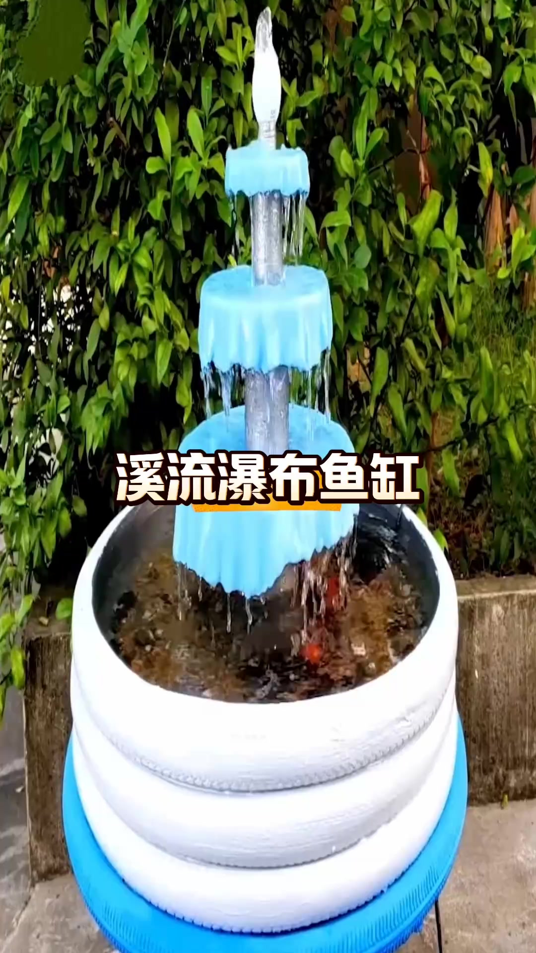 废旧轮胎改造美丽鱼缸,打造惬意生活空间的巧手之作!