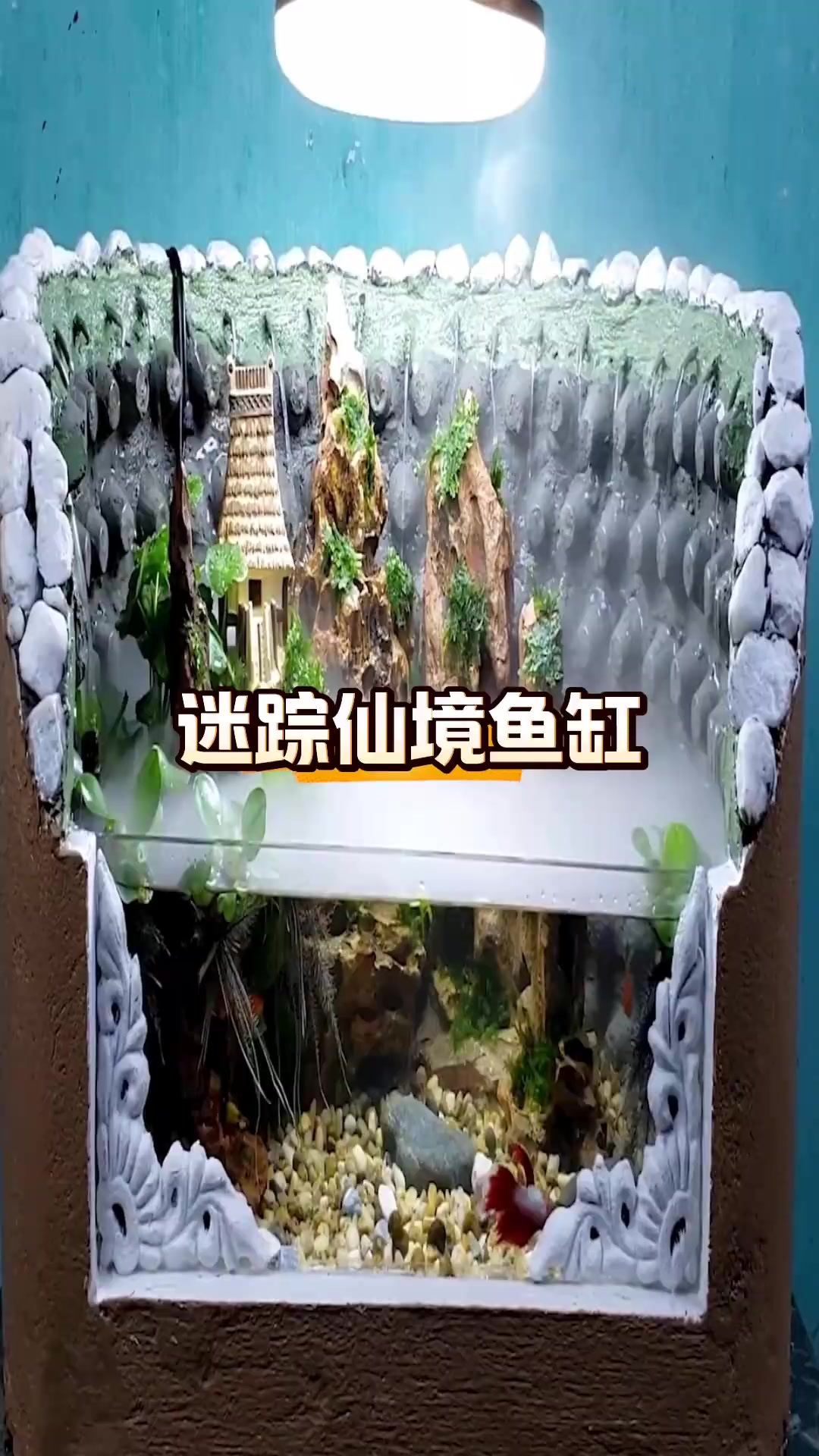 巧手打造迷踪仙境鱼缸,废物利用让家居更美!