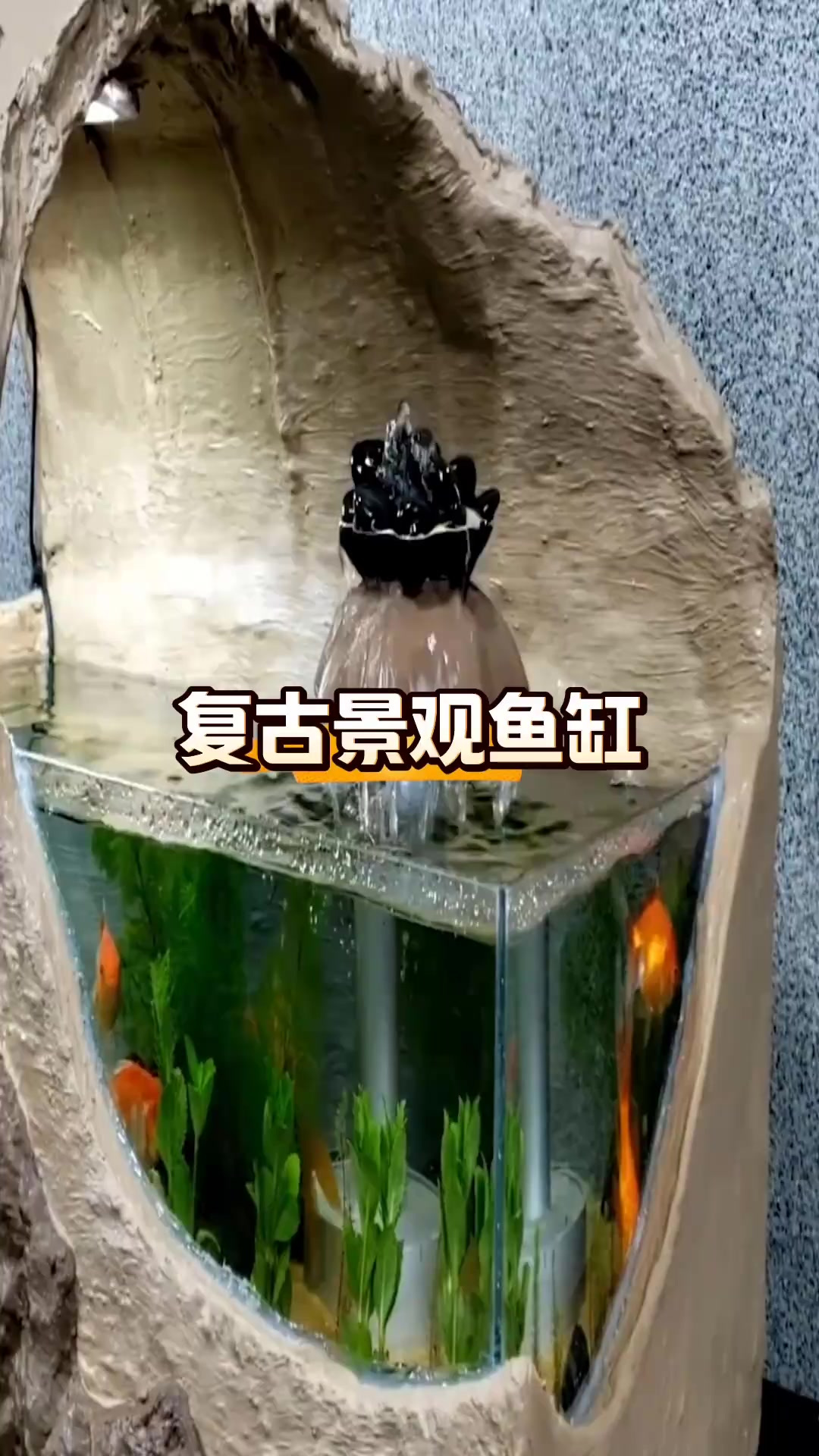 在家闲暇时光,动手打造复古景观鱼缸,与好友共享惬意时光