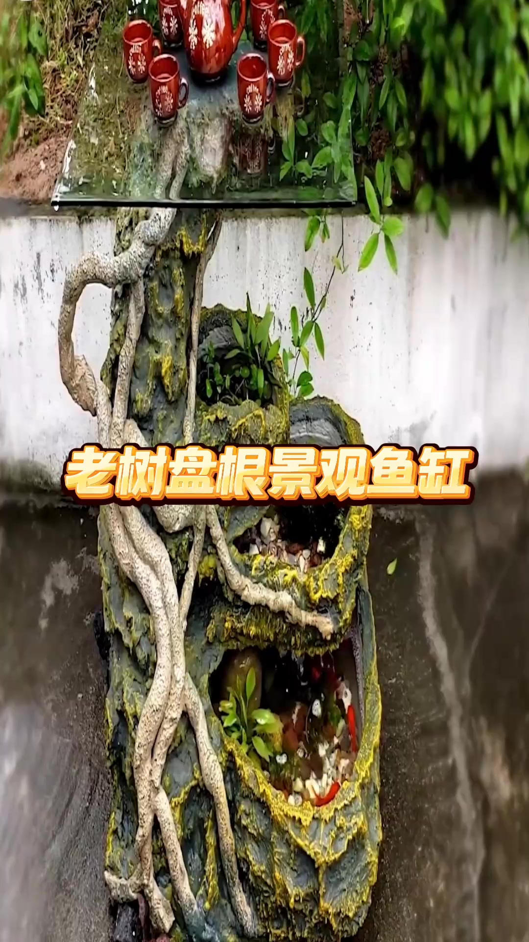 自制复古鱼缸:养鱼与品茶的完美结合,提升居家景观的闲暇乐趣