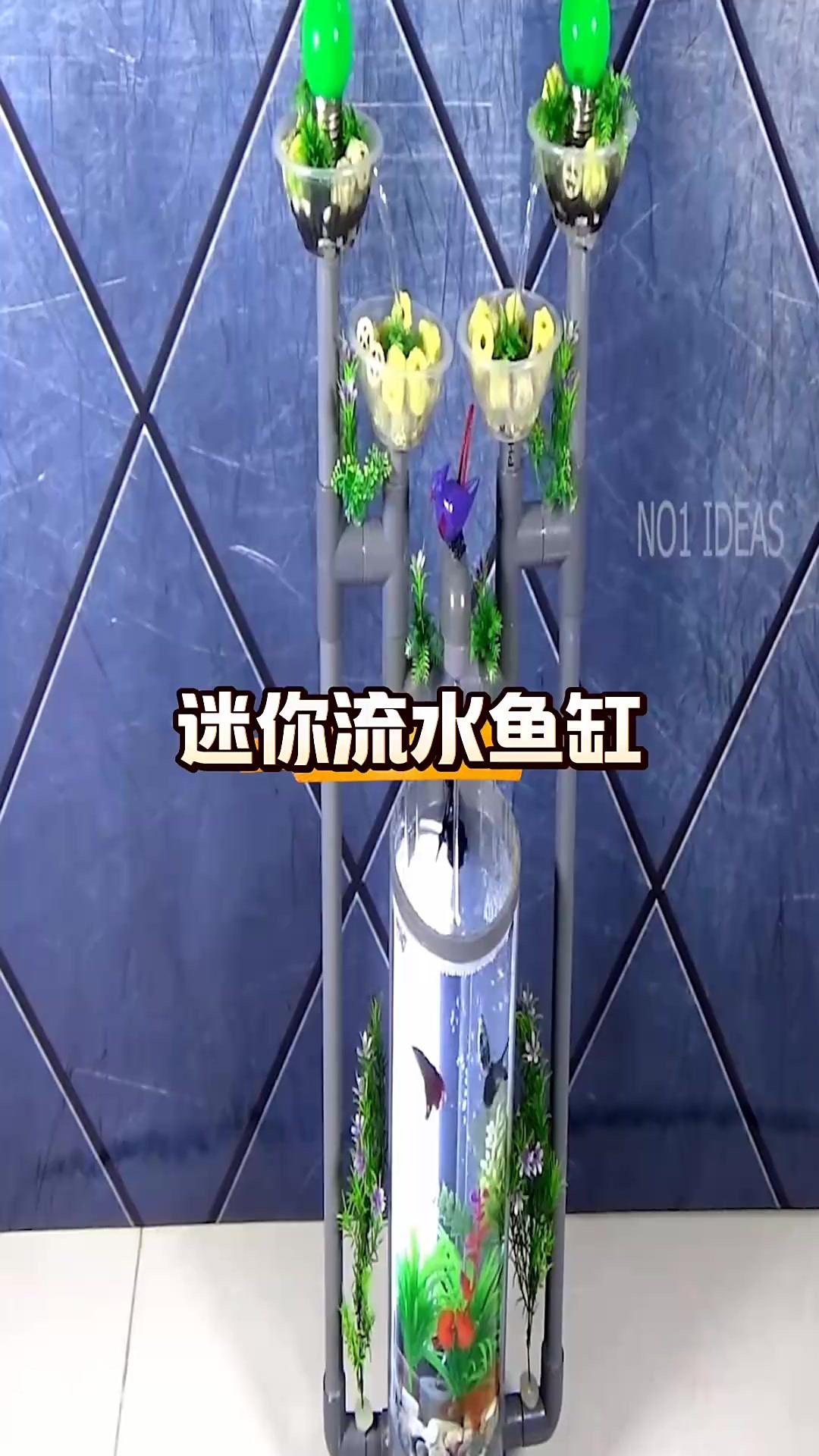 自制鱼缸:与好友共研讨,打造美观实用的新家园