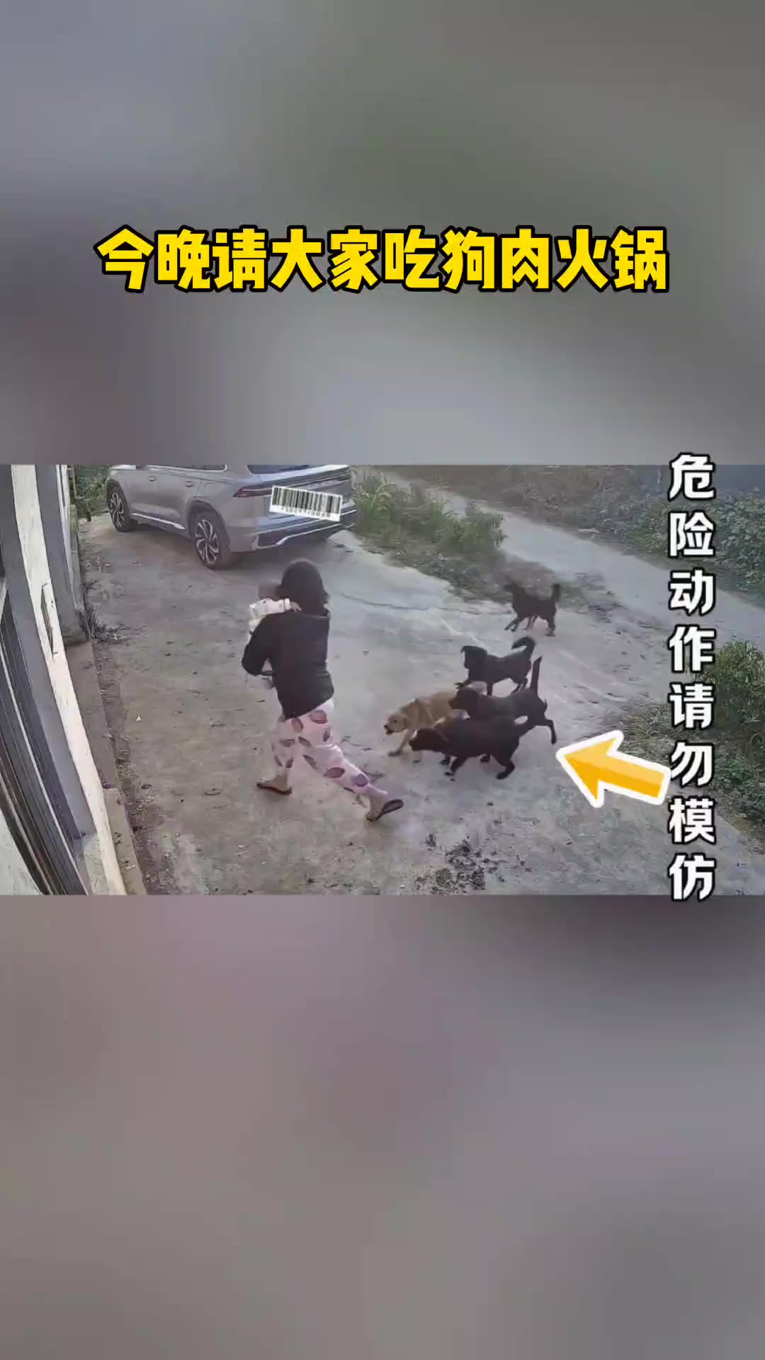 今晚请大家吃狗肉火锅