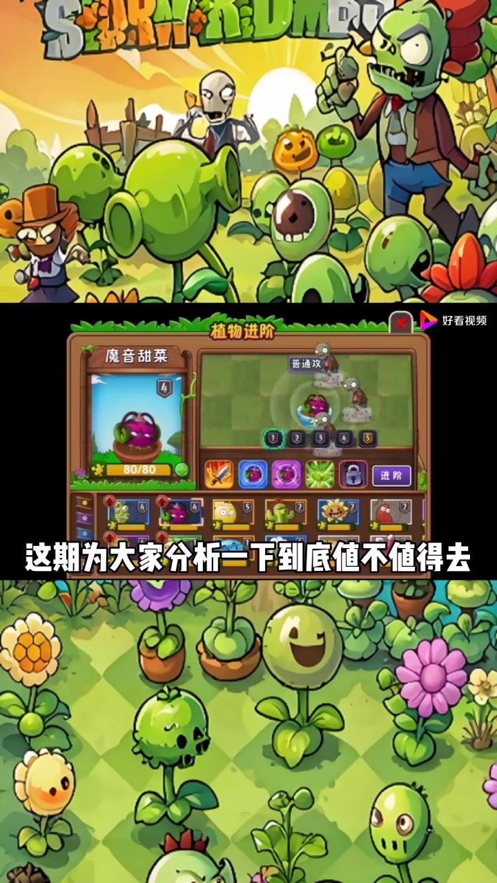 植物大战僵尸2:5阶魔音甜菜值得升阶吗?