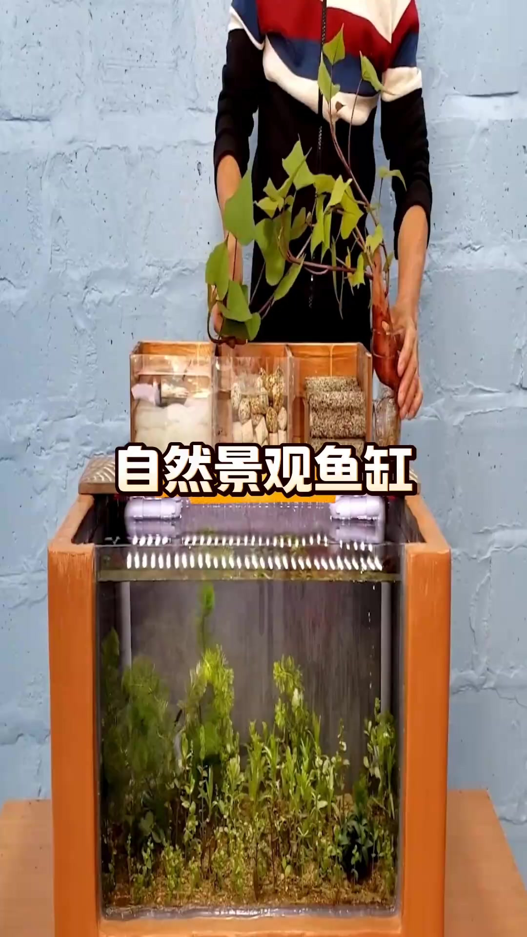 DIY微景观鱼缸:为鱼儿打造舒适家园,闲暇时光的创意之举!