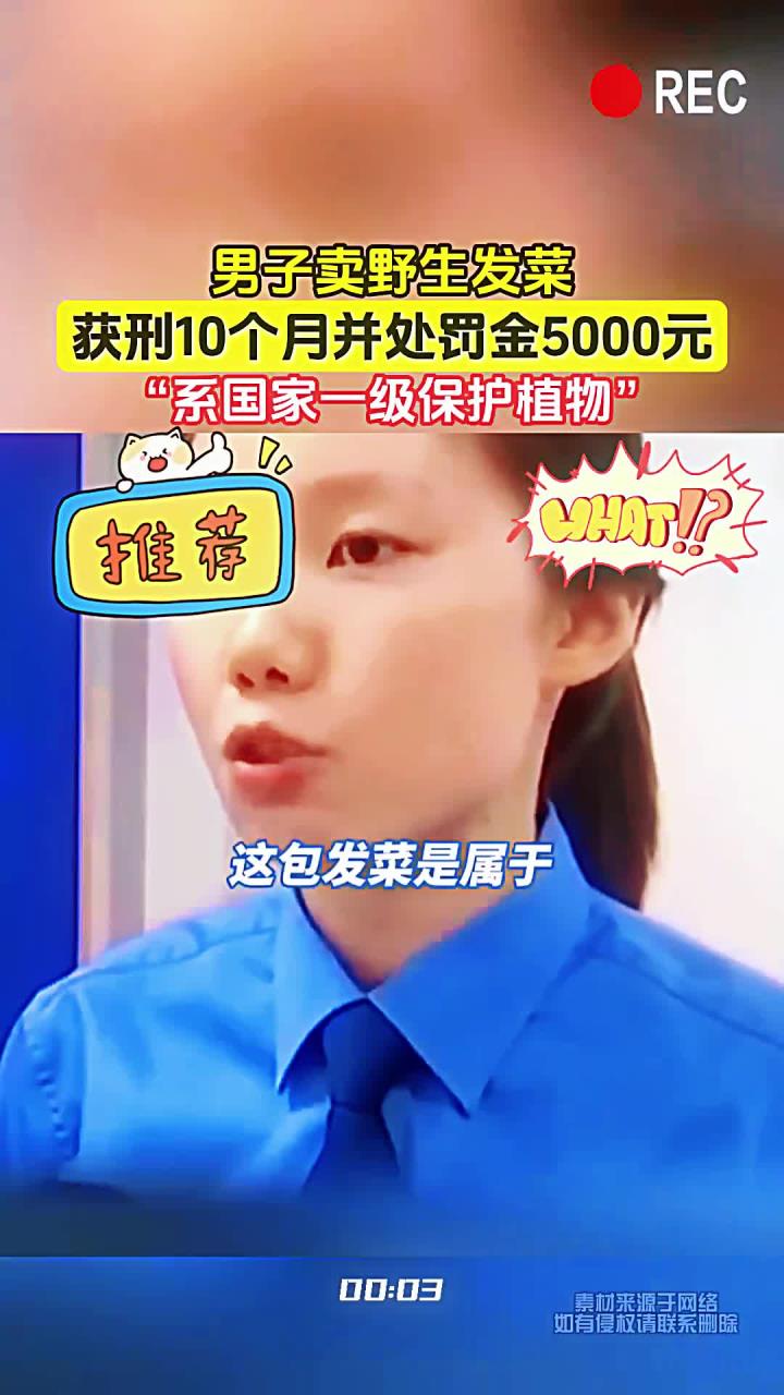 男子卖野生发菜,获刑10个月并处罚金5000元