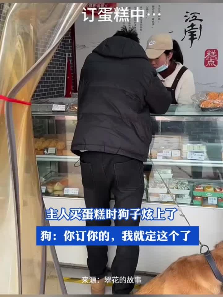 主人买蛋糕时狗子炫上了,狗:你订你的,我就定这个了