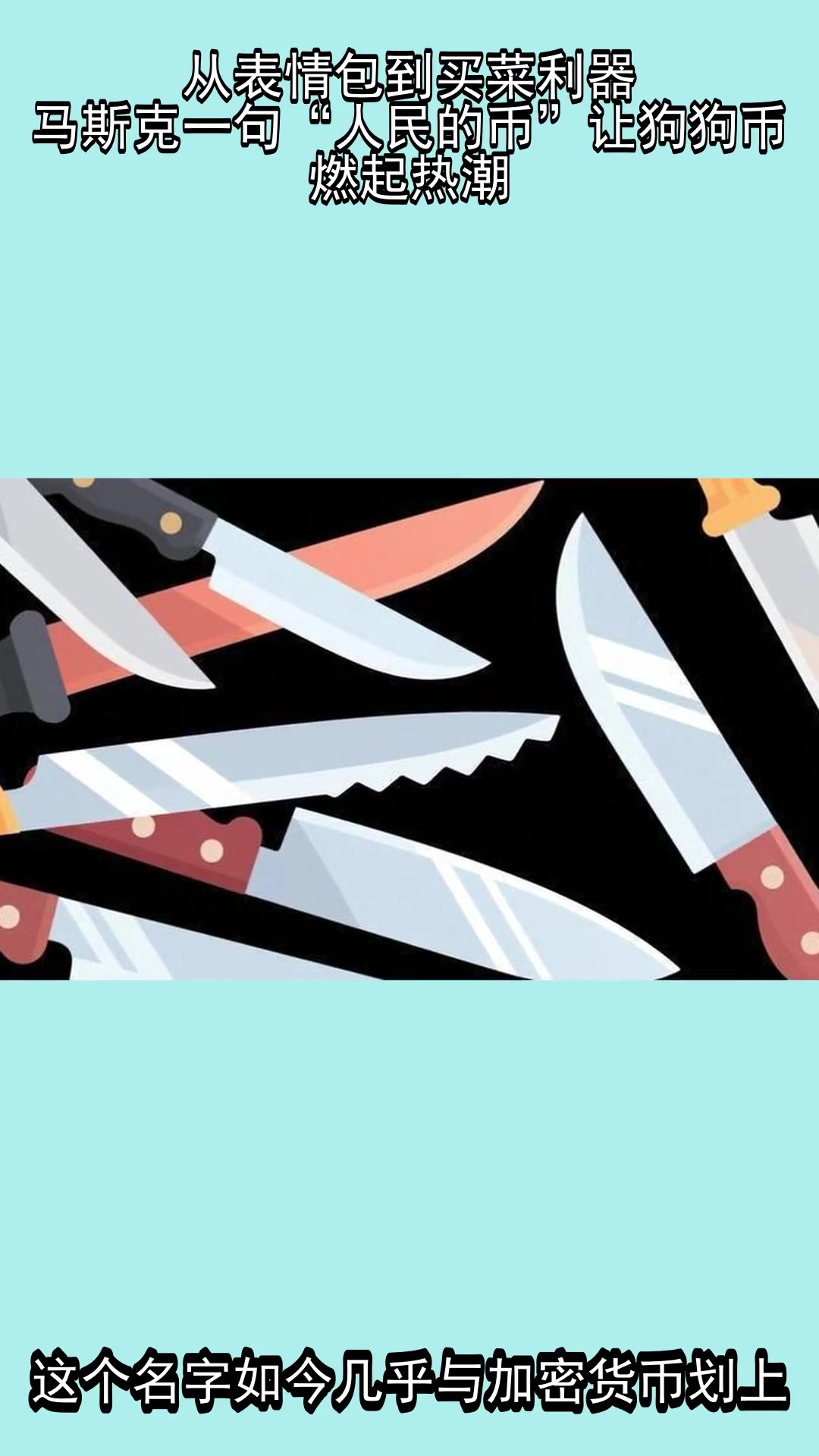 从表情包到买菜利器,马斯克一句“人民的币”让狗狗币燃起热潮