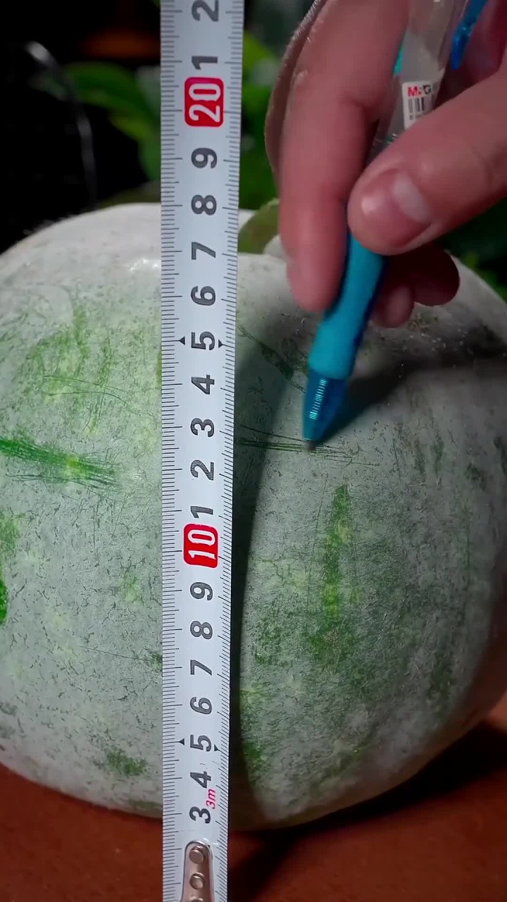 夏天来了,大家一定要当个吃瓜群众,多吃瓜类好处多～今天这个冬瓜薏米排骨汤记得给家