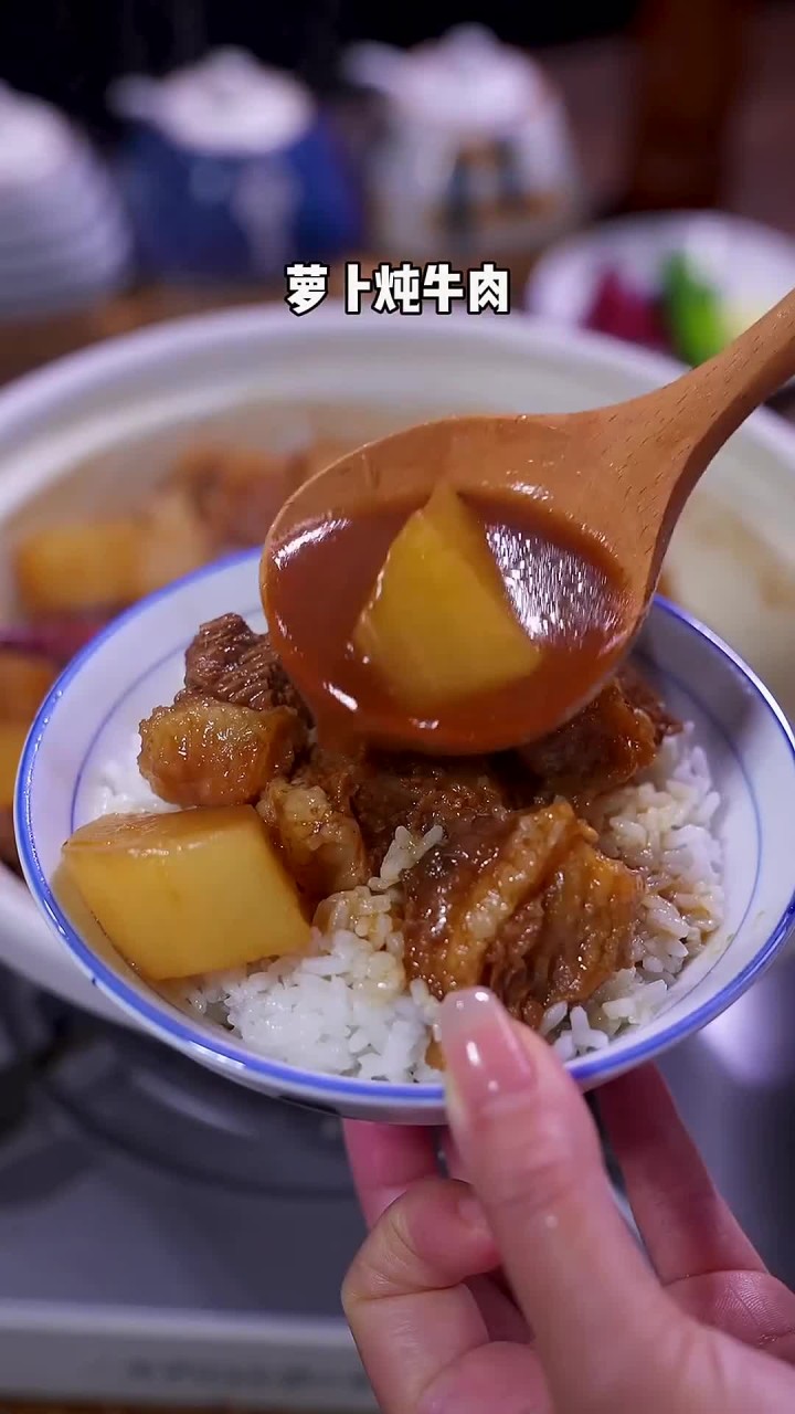 简单又下饭的萝卜炖牛肉,软烂入味,拌饭拌面都好吃