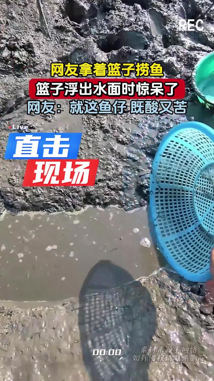 网友拿着篮子捞鱼，篮子浮出水面时惊呆了，网友：就这鱼仔 既酸又苦