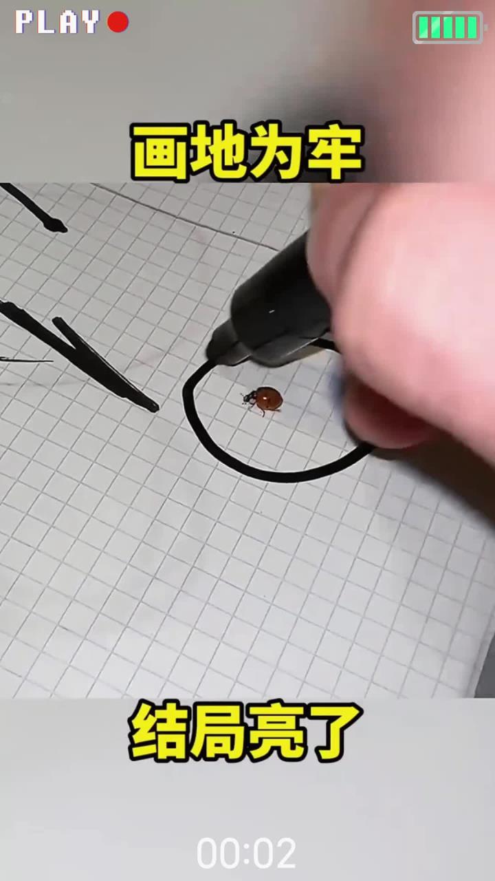 画地为牢,结局亮了!