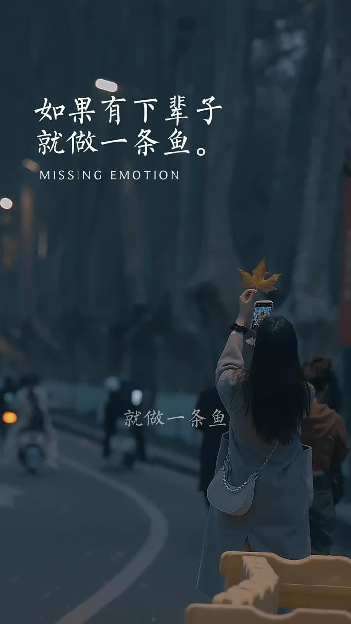 如果有下辈子,就做一条鱼,没有温度,没有心跳,没有感情,无