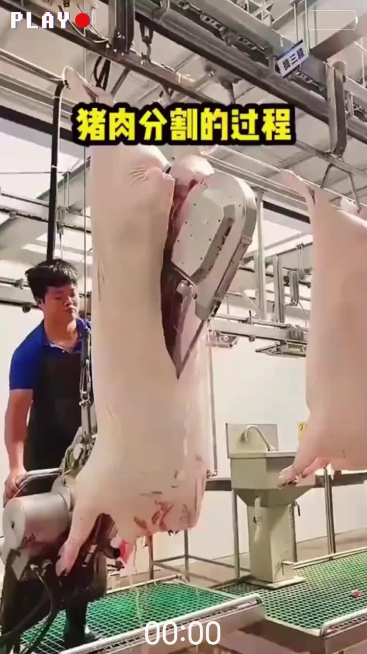 猪肉分割的过程!厉害啦