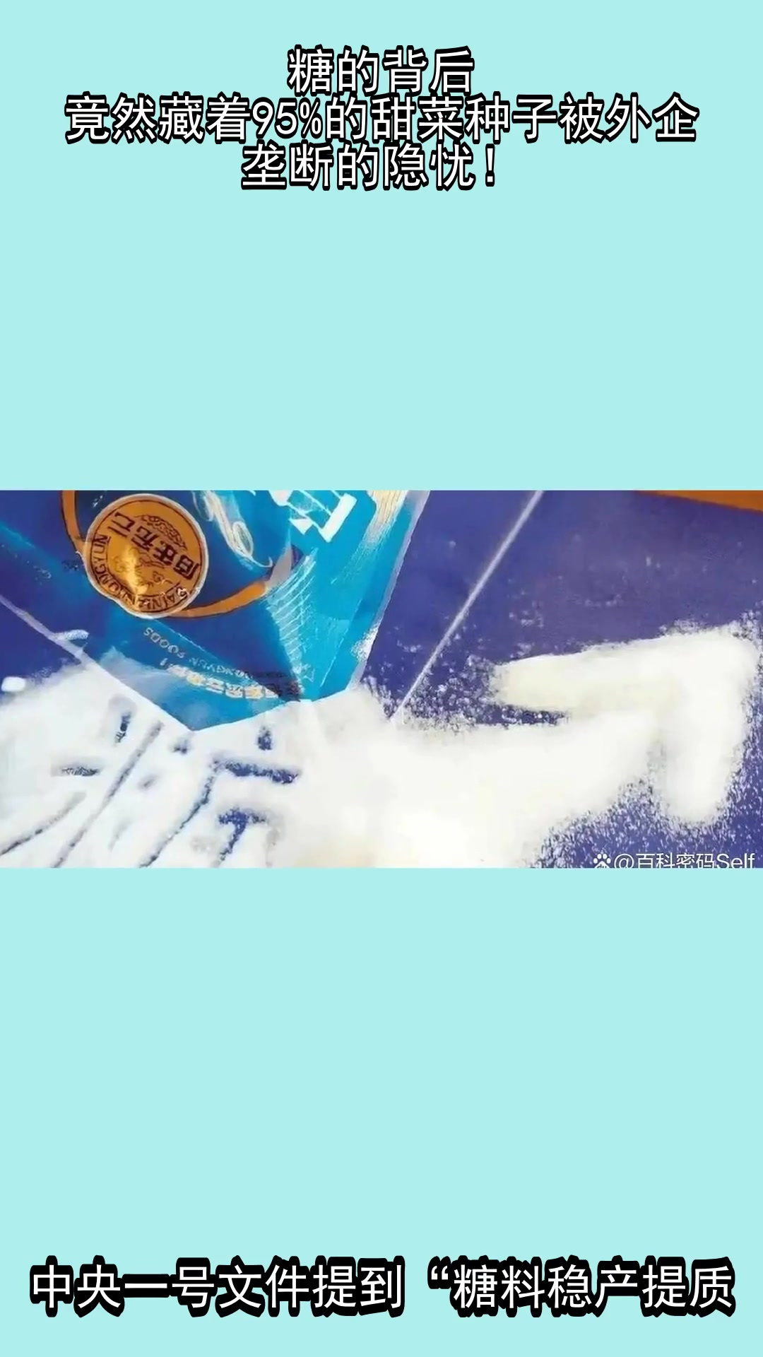 糖的背后,竟然藏着95%的甜菜种子被外企垄断的隐忧!