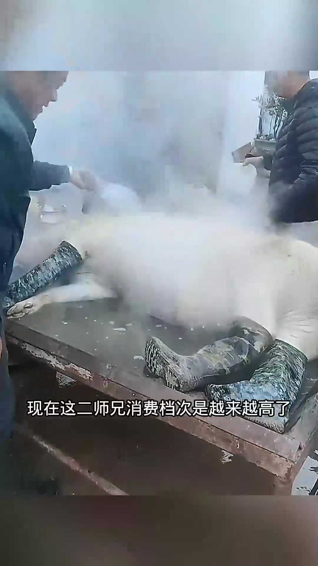  二师兄蒸桑拿,一动不动!