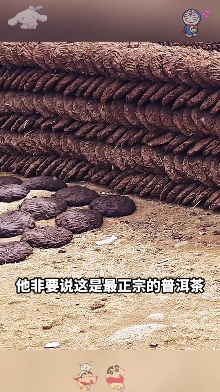 正宗的普洱茶，是这样的吗