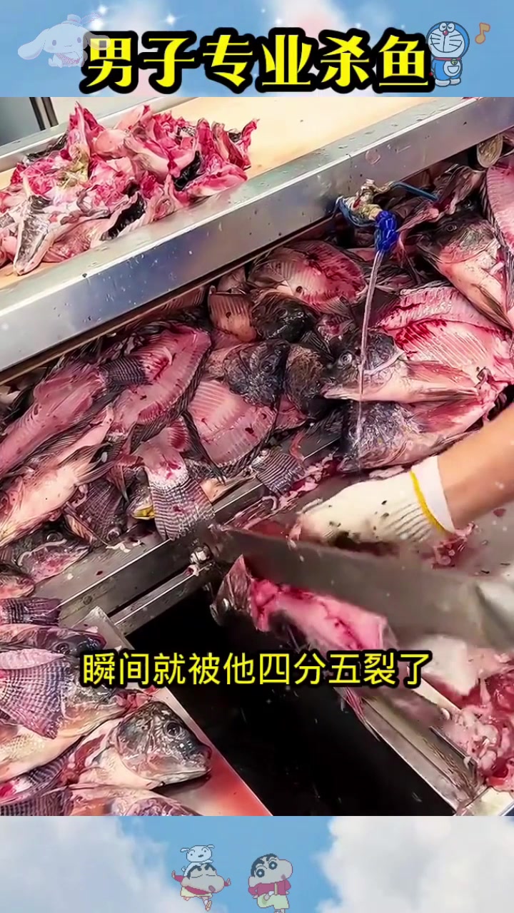  男子专业杀鱼，太快了