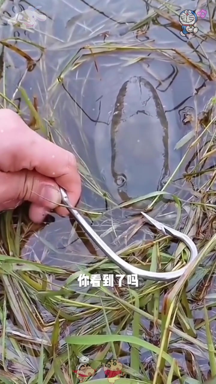  这叫什么,姜太公钓鱼,愿者上钩!