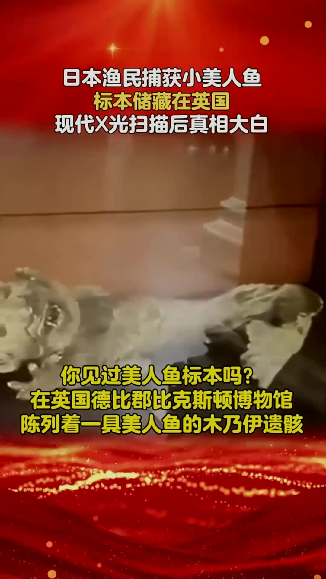 日本渔民捕获小美人鱼，标本储藏在英国，现代X光扫描后真相大白