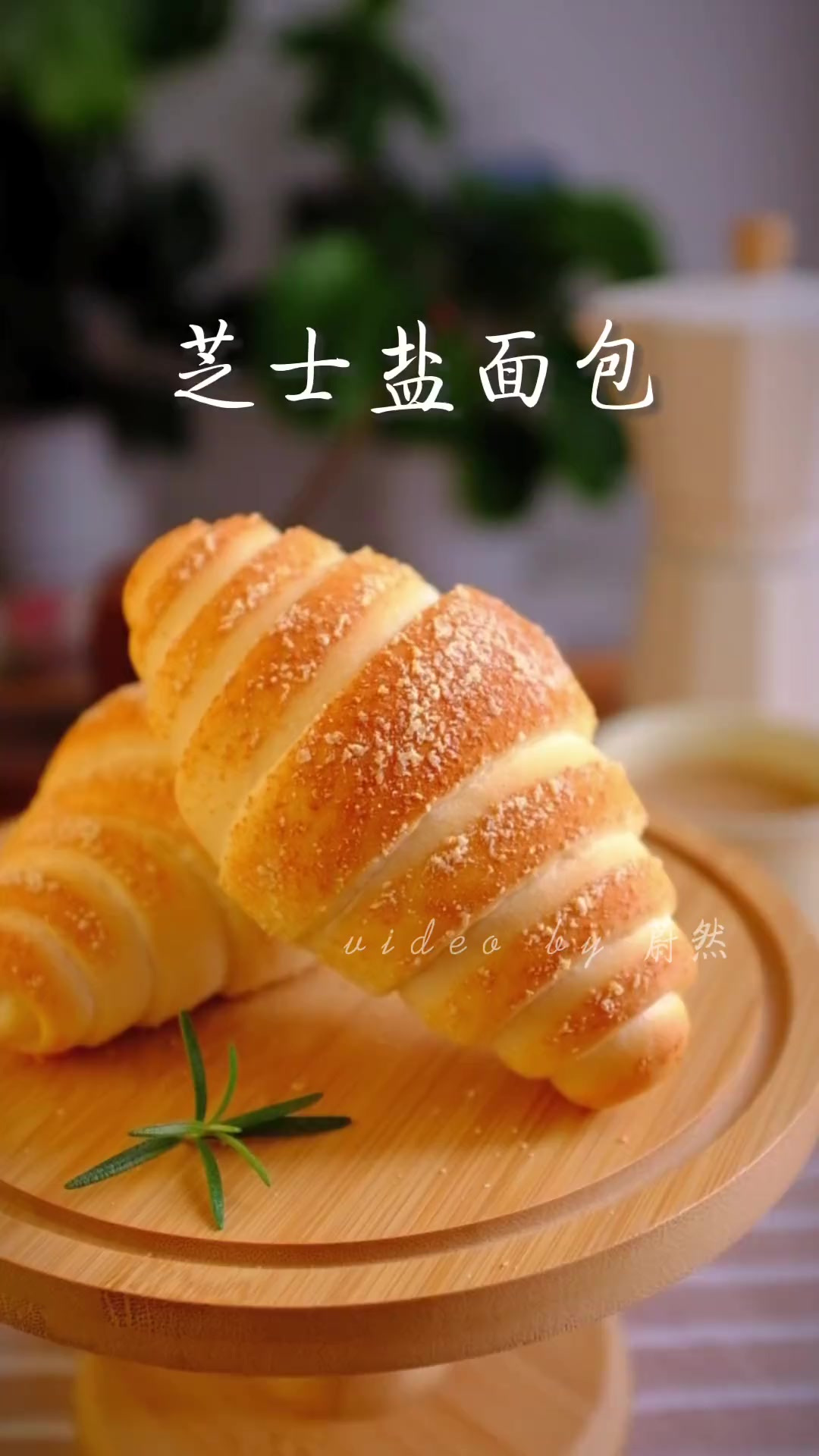 人见人爱的盐面包裹上芝士的外衣，是不是更加讨人喜欢了